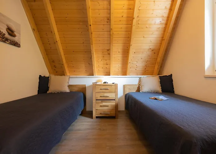 Mellumplate 50 * دورم نيوفيلد