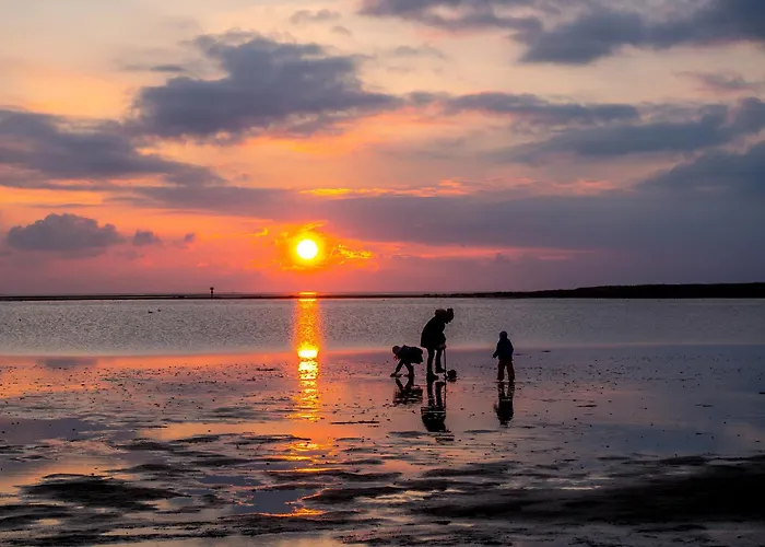 Mellumplate 50 بيت للعطل