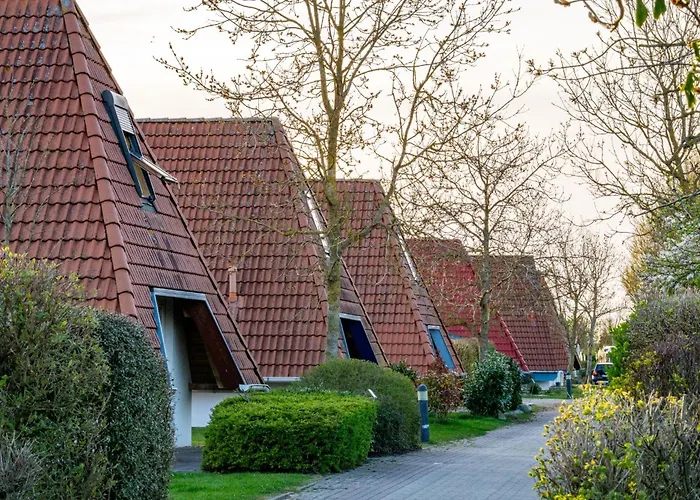 Mellumplate 50 * دورم نيوفيلد